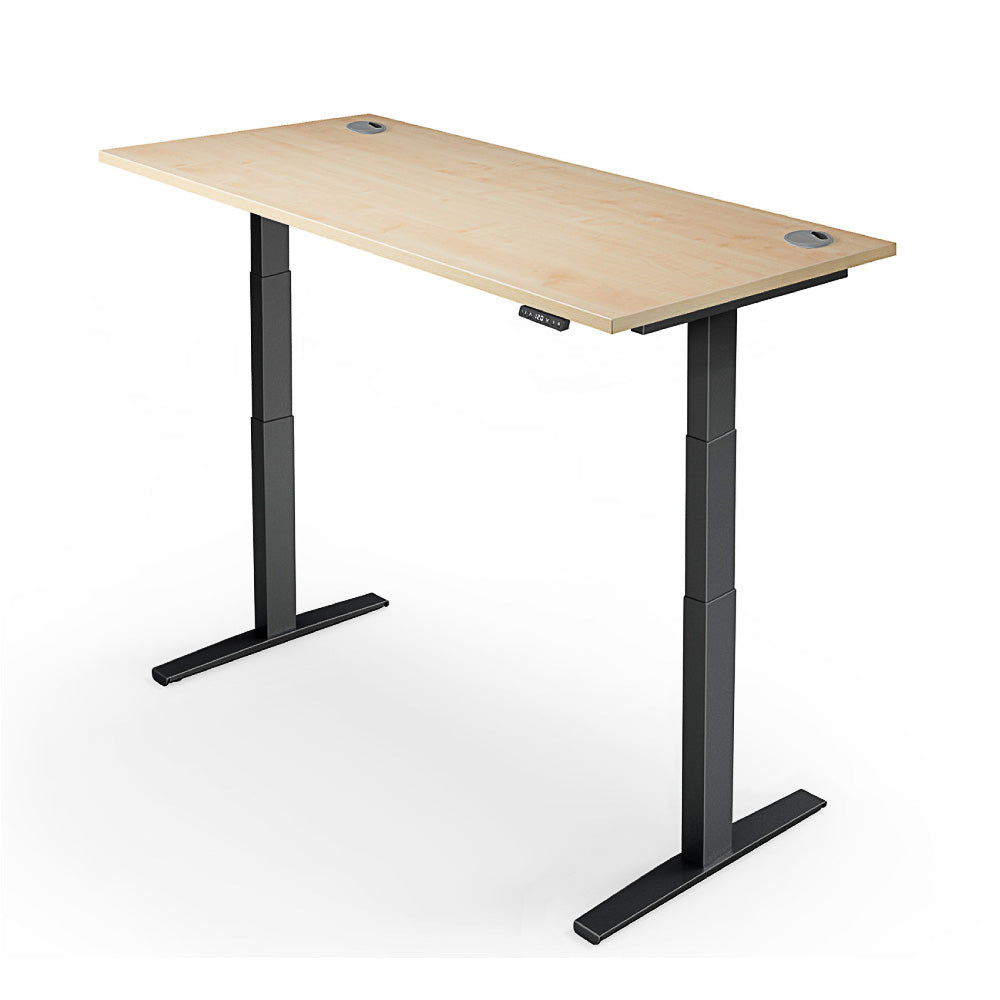 Yo-Yo Desk Pro 2+ Electric Standing Desk