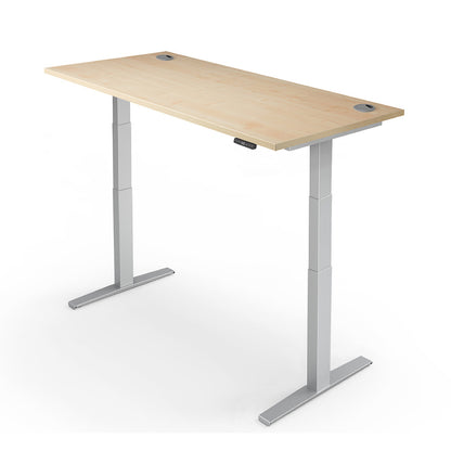 Yo-Yo Desk Pro 2+ Electric Standing Desk