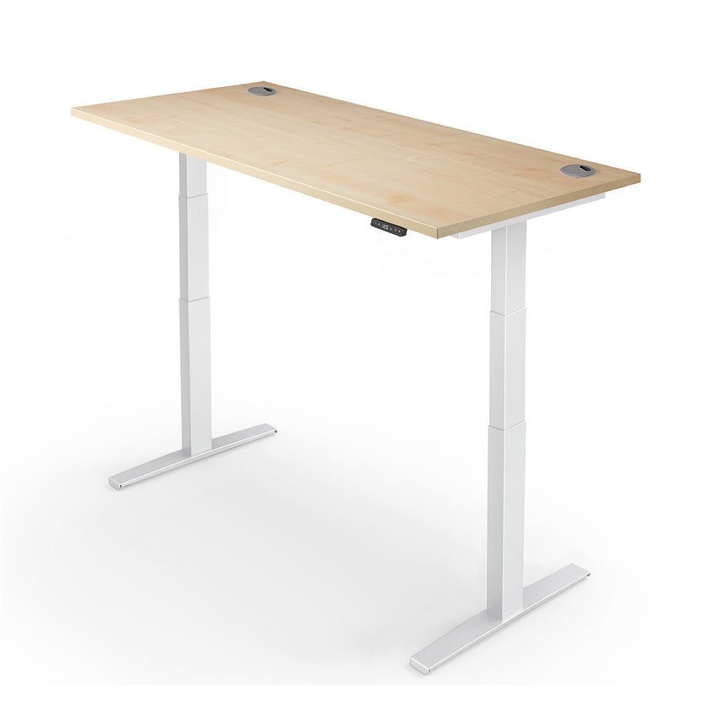 Yo-Yo Desk Pro 2+ Electric Standing Desk