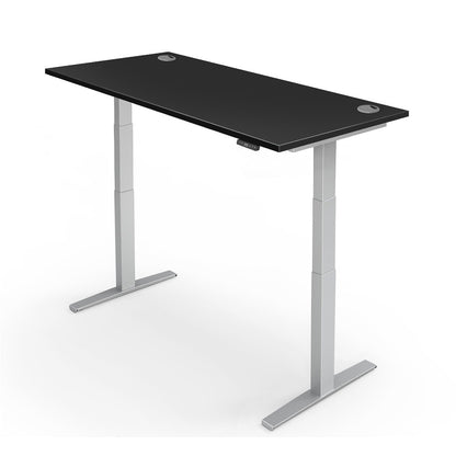 Yo-Yo Desk Pro 2+ Electric Standing Desk