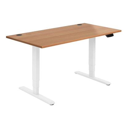 ALLCAM Motion Electric Standing Desk