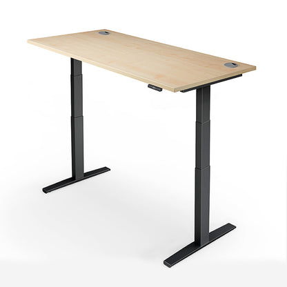 Yo-Yo Desk Pro 2+ Electric Standing Desk