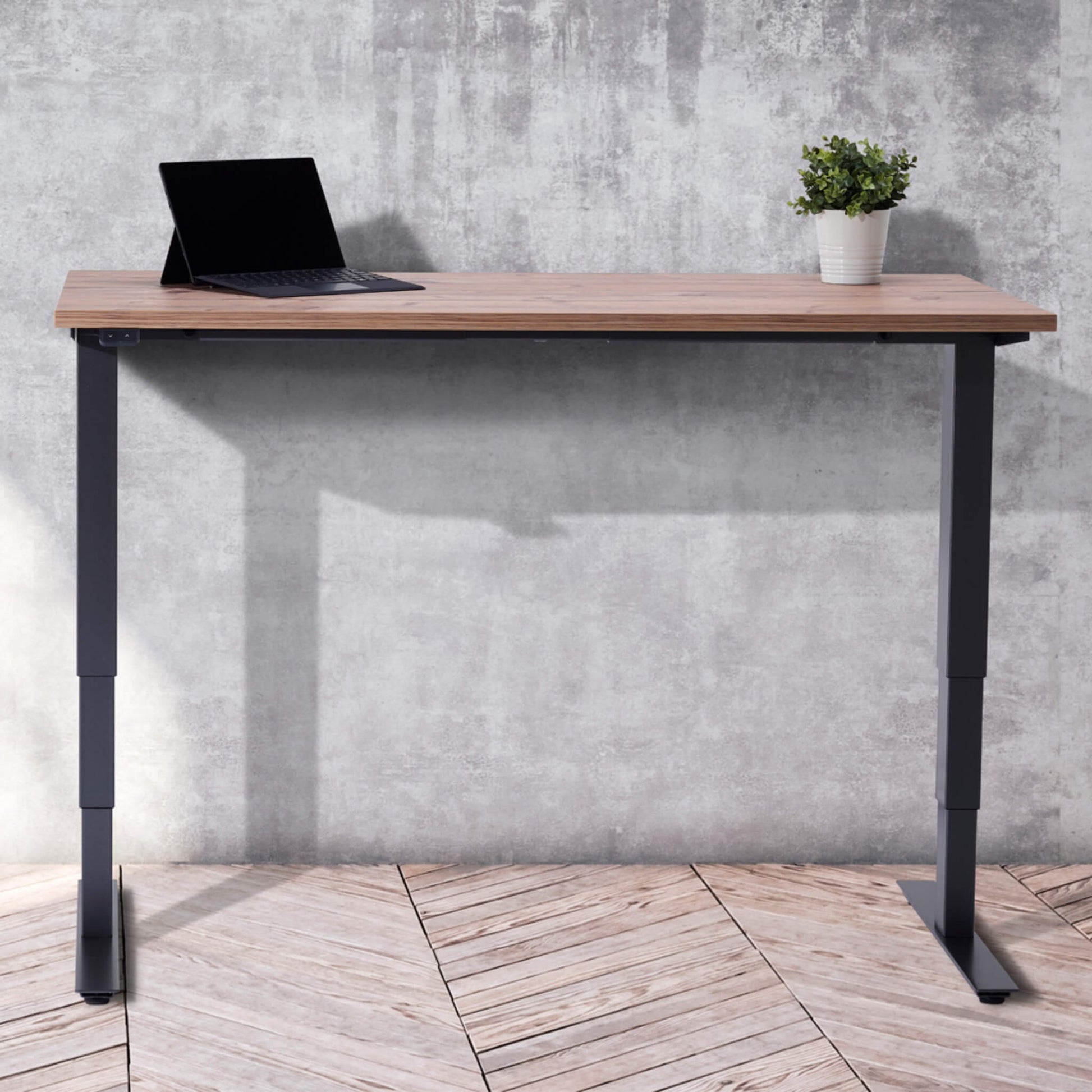 The Elevate electric height adjustable standing desk with black frame and timber desktop finish in lifestyle setting from Livewell Furniturel at www.livewellfurniture.co.uk